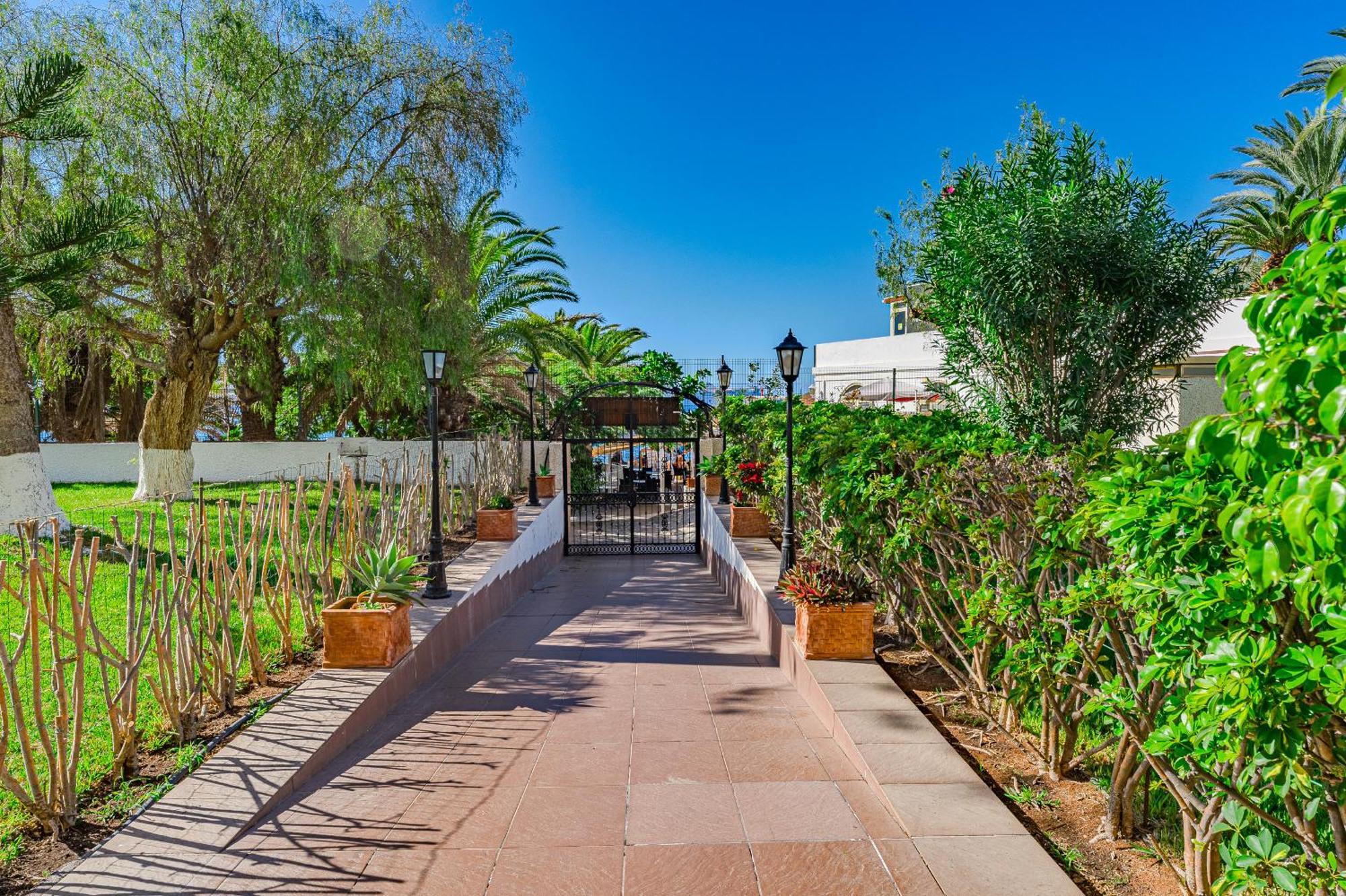 Frontline Ocean View Apartment Los Cristianos Los Cristianos  Eksteriør billede